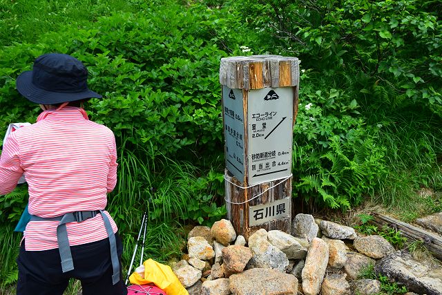 エコーライン分岐(砂防新道合流点)