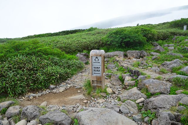 エコーライン分岐(砂防新道合流点)