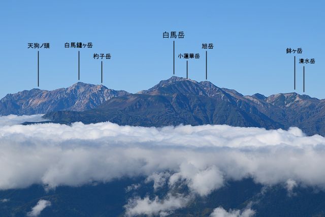 雨飾山から眺めた白馬岳