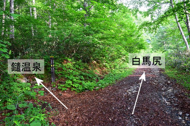 白馬尻/鑓温泉分岐