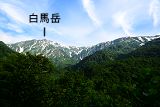 白馬岳展望地 1344m
