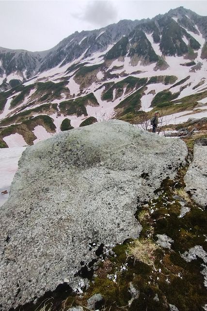 岩の上から立山を眺める